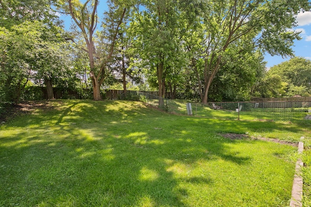 2125 Leeward Ln, Hanover Park, IL 60133 - view of yard with view of wooded area