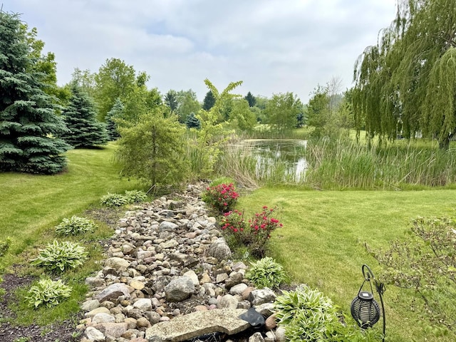 8741 W Blackthorne Way, Frankfort, IL 60423 - view of grassy yard