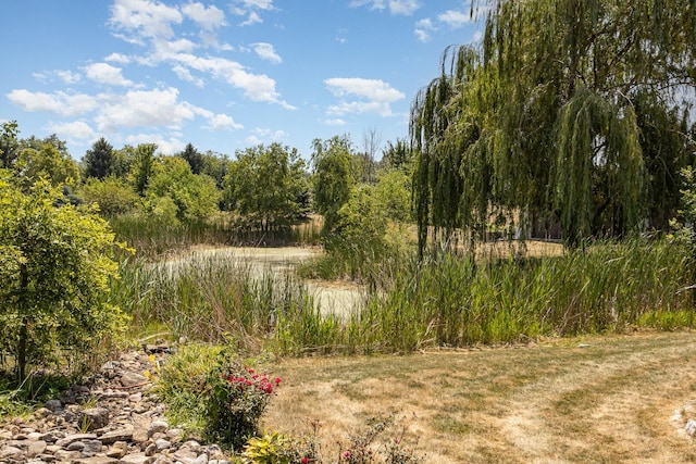 8741 W Blackthorne Way, Frankfort, IL 60423 - view of nature
