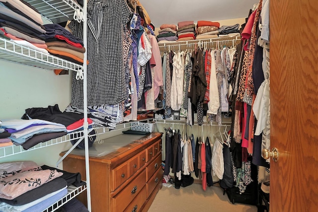 874 Dandridge Ct, Elgin, IL 60120 - walk in closet with carpet