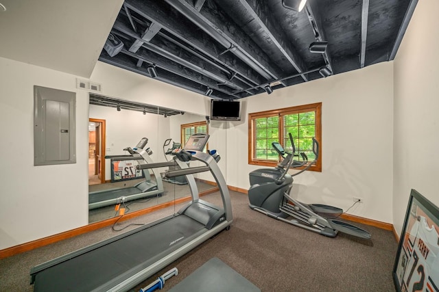 772 Wild Ginger Rd, Sugar Grove, IL 60554 - workout area featuring electric panel and carpet