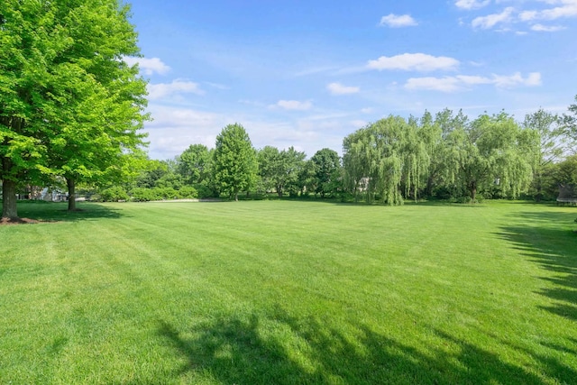 772 Wild Ginger Rd, Sugar Grove, IL 60554 - view of grassy yard