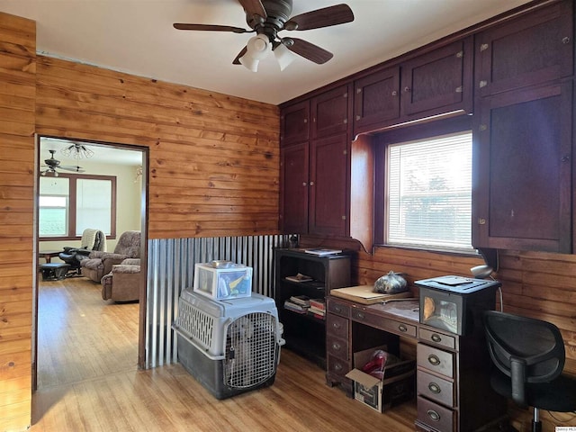 1749 N 1950th, Coatsburg, IL 62325 - home office with a ceiling fan, wood walls, healthy amount of natural light, and light wood finished floors