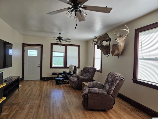 1749 N 1950th, Coatsburg, IL 62325 - living area with wood finished floors and ceiling fan