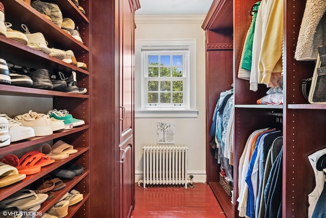 641 Highview Ter, Lake Forest, IL 60045 - spacious closet featuring radiator heating unit and dark wood finished floors