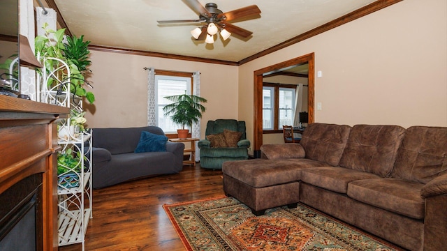 503 S Morris Ave, Bloomington, IL 61701 - photo 5