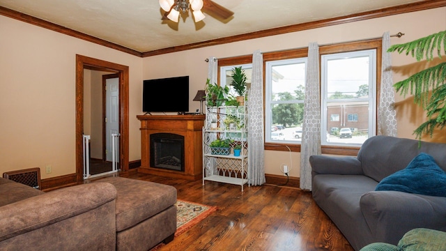 503 S Morris Ave, Bloomington, IL 61701 - photo 6