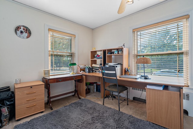 6344 N Lenox Ave, Chicago, IL 60646 - photo 20