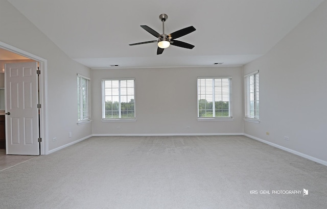 1312 Mulberry Ln, Cary, IL 60013 - empty room with carpet, plenty of natural light, and a ceiling fan