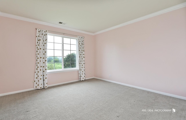 1312 Mulberry Ln, Cary, IL 60013 - empty room with ornamental molding and carpet