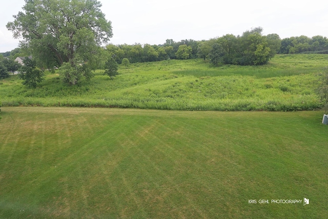 1312 Mulberry Ln, Cary, IL 60013 - view of yard