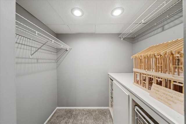 237 Carlisle Ave, Westmont, IL 60559 - spacious closet featuring carpet floors