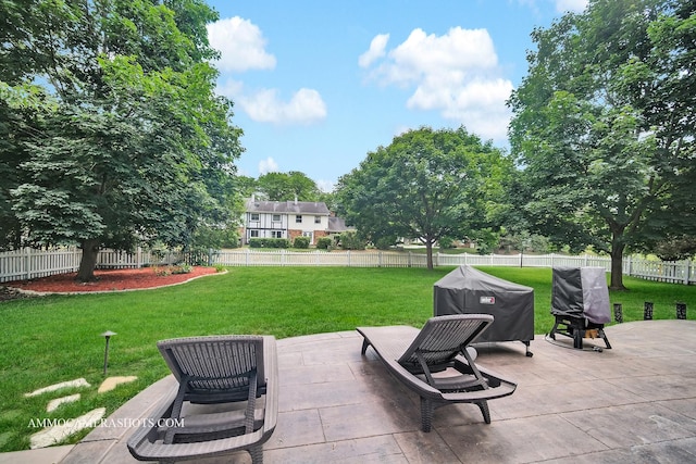 2014 Normandy Ln, Geneva, IL 60134 - photo 39