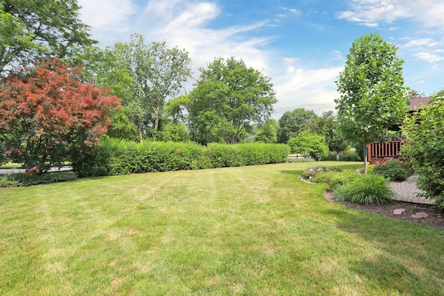 740 Ruskin Dr, Elk Grove Village, IL 60007 - view of green lawn