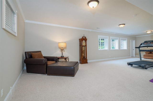 18 Stonebrook Ct, Bloomington, IL 61704 - photo 34