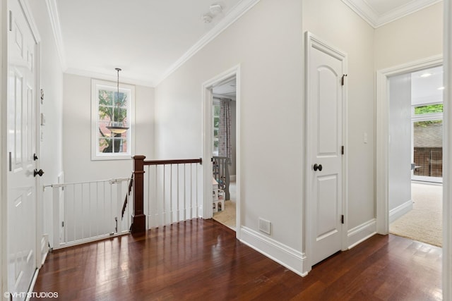 1949 W Nelson St Unit 1E, Chicago, IL 60657 - foyer entrance with wood-type flooring, healthy amount of natural light, and ornamental molding