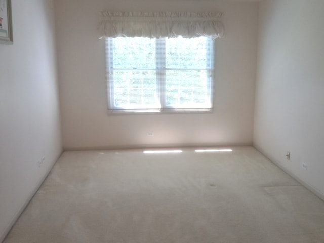5434 Ashbrook Place -, Downers Grove, IL 60515 - view of carpeted spare room