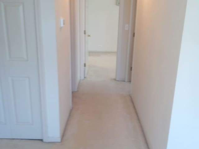 5434 Ashbrook Place -, Downers Grove, IL 60515 - corridor with light carpet