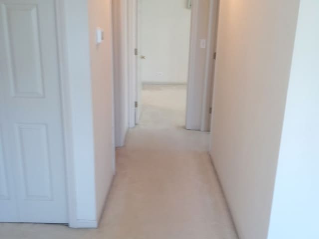 5434 Ashbrook Place -, Downers Grove, IL 60515 - hall with light carpet