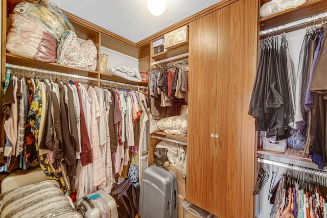2718 Lake Side Cir, Joliet, IL 60431 - view of walk in closet