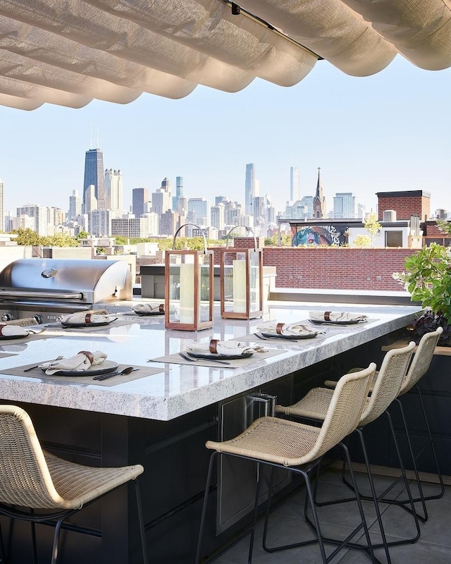 555 W Armitage Ave Unit 2W, Chicago, IL 60614 - view of patio / terrace with a view of skyline and area for grilling