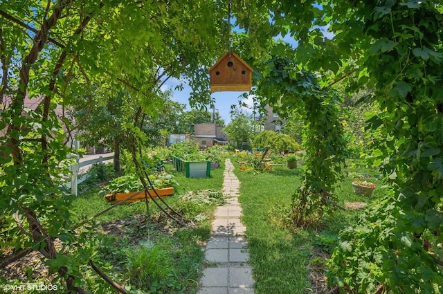 1510 W Cullerton St, Chicago, IL 60608 - view of yard featuring a garden