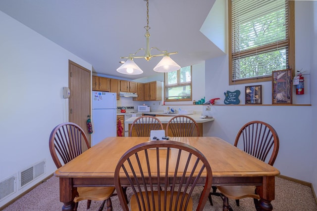 113 Walnut Hill Dr, Galena, IL 61036 - photo 14