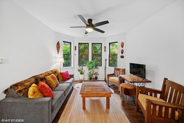 7639 N Greenview Ave Unit 1E, Chicago, IL 60626 - living room featuring wood finished floors and a ceiling fan