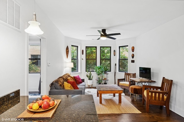 7639 N Greenview Ave Unit 1E, Chicago, IL 60626 - living area featuring dark wood-style floors and a ceiling fan