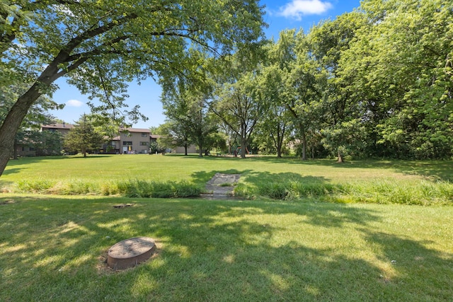 698 Circle Dr, Roselle, IL 60172 - photo 26