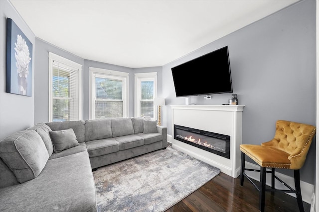 7144 S Champlain Ave, Chicago, IL 60619 - living room with dark wood finished floors and a glass covered fireplace
