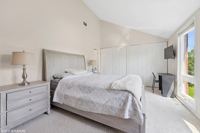 3843 Appian Way, Glenview, IL 60025 - bedroom with lofted ceiling, multiple closets, and light carpet