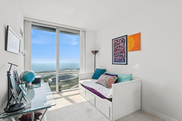 1201 S Prairie Ave Unit 5004, Chicago, IL 60605 - living area featuring carpet flooring and a water view