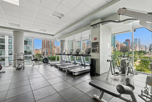 1201 S Prairie Ave Unit 5004, Chicago, IL 60605 - exercise room featuring a view of skyline, floor to ceiling windows, plenty of natural light, and a paneled ceiling