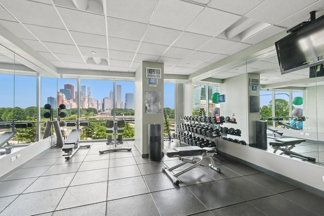 1201 S Prairie Ave Unit 5004, Chicago, IL 60605 - workout area with a paneled ceiling and a view of skyline