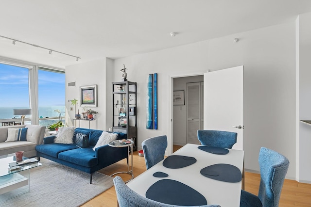 1201 S Prairie Ave Unit 5004, Chicago, IL 60605 - dining space with light wood-style flooring, track lighting, and a water view