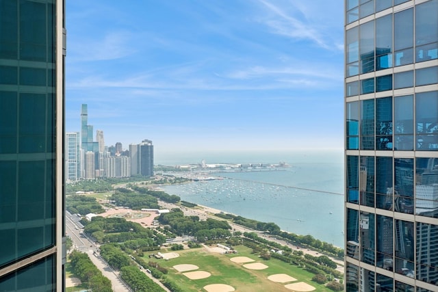 1201 S Prairie Ave Unit 5004, Chicago, IL 60605 - water view featuring city skyline