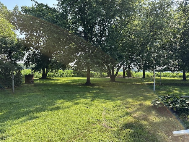 12851 Argo Fay Rd, Thomson, IL 61285 - view of green lawn