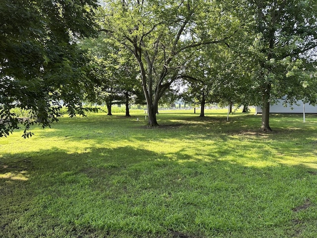 12851 Argo Fay Rd, Thomson, IL 61285 - view of green lawn