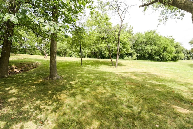 1021 Otis Ave, Rockdale, IL 60436 - view of grassy yard featuring view of scattered trees