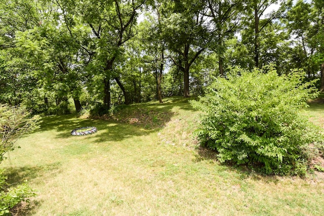 1021 Otis Ave, Rockdale, IL 60436 - view of grassy yard