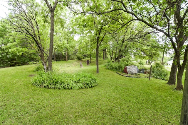 1021 Otis Ave, Rockdale, IL 60436 - view of grassy yard