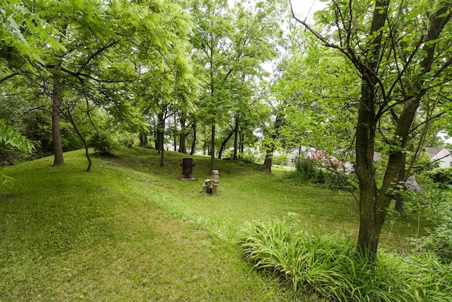 1021 Otis Ave, Rockdale, IL 60436 - view of green lawn
