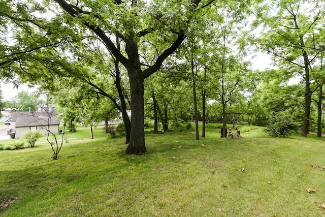 1021 Otis Ave, Rockdale, IL 60436 - view of grassy yard