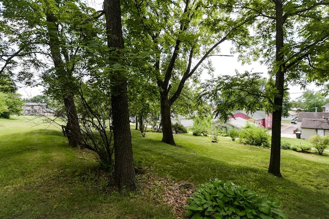 1021 Otis Ave, Rockdale, IL 60436 - view of grassy yard