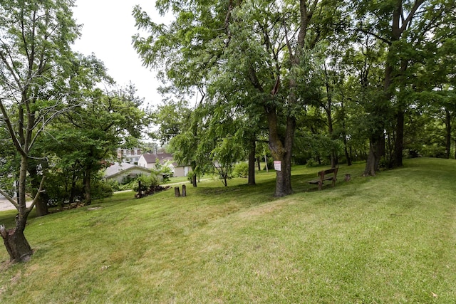 1021 Otis Ave, Rockdale, IL 60436 - view of grassy yard