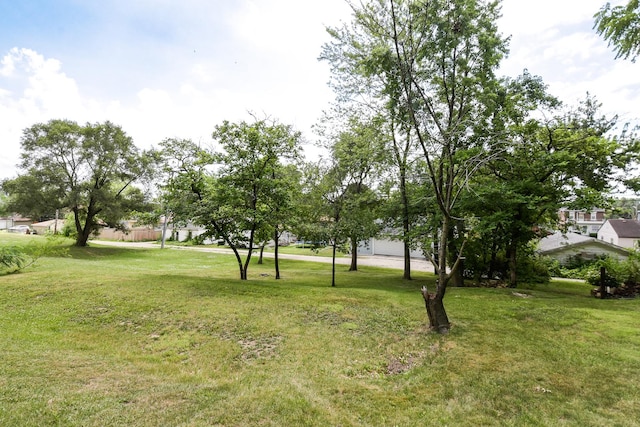 1021 Otis Ave, Rockdale, IL 60436 - view of grassy yard