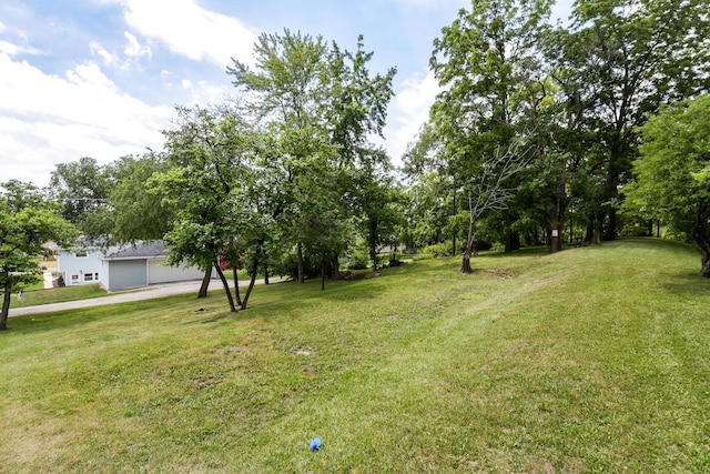 1021 Otis Ave, Rockdale, IL 60436 - view of grassy yard