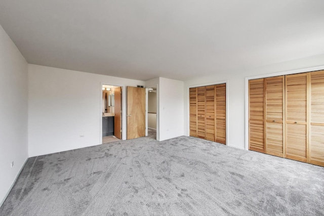 108 Bishop Quarter Ln, Oak Park, IL 60302 - unfurnished bedroom featuring multiple closets, carpet flooring, and ensuite bathroom