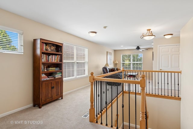 11954 Winterberry Ln, Plainfield, IL 60585 - photo 23